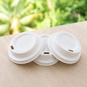 Bagasse Lids