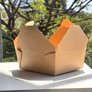 Paper Food Boxes / Snack Boxes